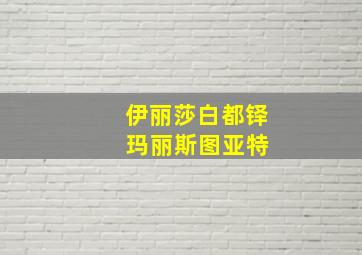 伊丽莎白都铎 玛丽斯图亚特